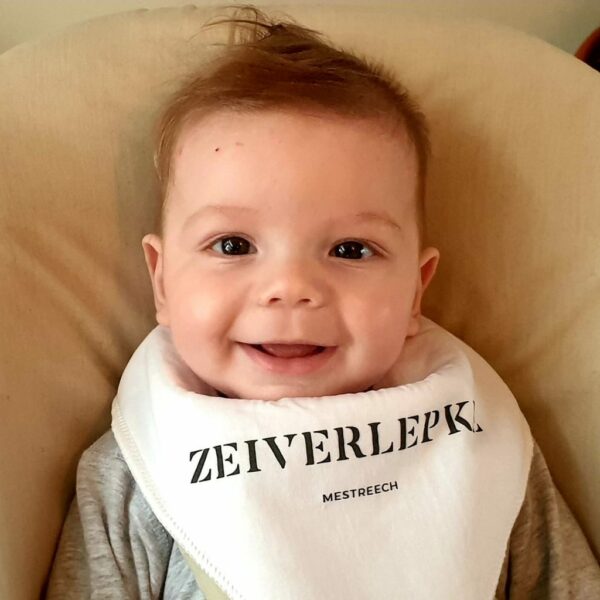 Zeiverlepke - Afbeelding 6