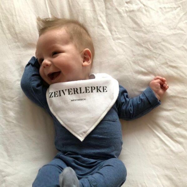Zeiverlepke - Afbeelding 4