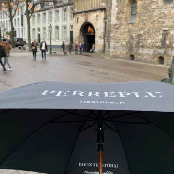 Perreplu - Boonte Störm (online niet leverbaar) - Afbeelding 2